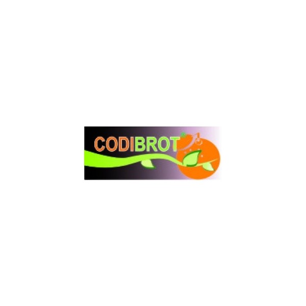 Codibrot